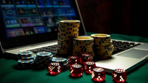 Explore the Exciting World of WildRobin Casino & Sportsbook